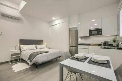 RiNa MADRID apartamento 2
