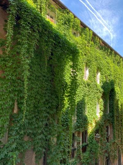 Navona Relais - Center of Rome