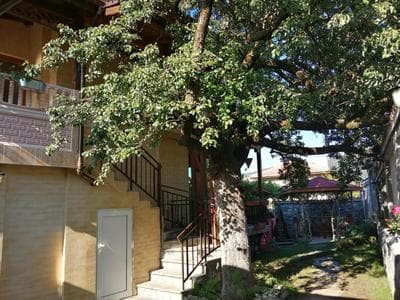 Dariya Guest House