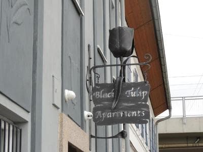 Černý Tulipán - Apartmán 3