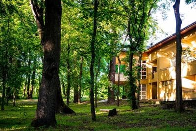 Park Hotel Sóstó