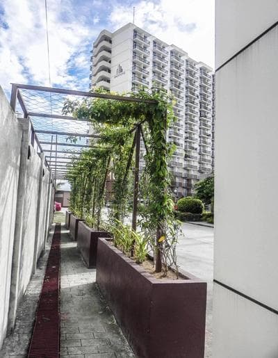 Cozy Condo in Saekyung 956 with FREE HIGHSPEED Internet connection