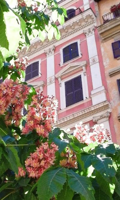 Centro Roma Trastevere Lovely House