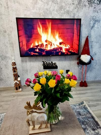 Apartament Jelonek w Karkonoszach
