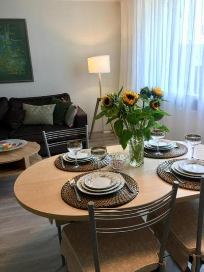 Central Park Apartment Birštonas
