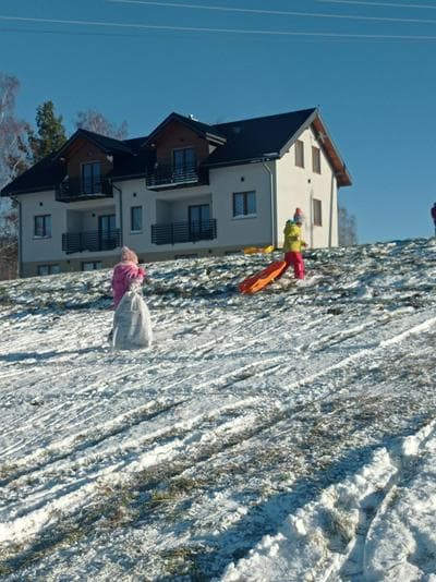 Bieszczadzki Horyzont Apartamenty 530 - 977 - 691