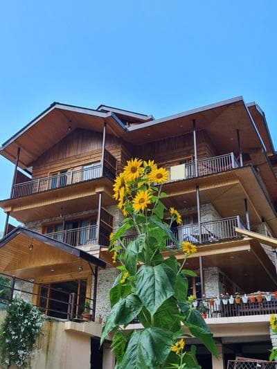The Hillside