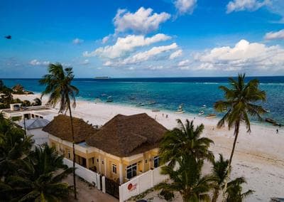 Mambo Paradise