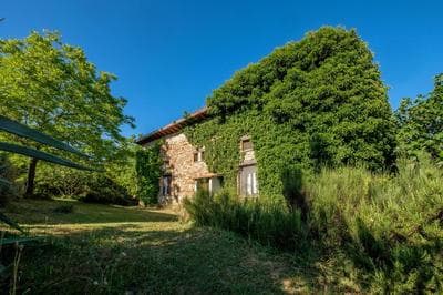 Stella Nord Podere Carbone