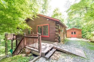Loony Bear Cabin is Pet Friendly with Wood Stove Creekside Firepit
