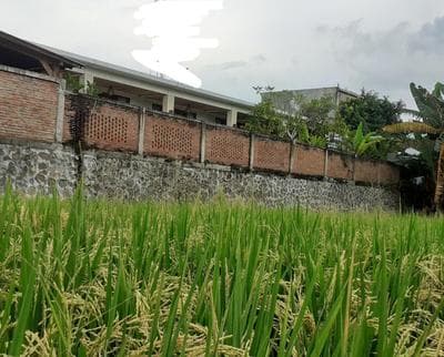 Surya Lombok Accommodation