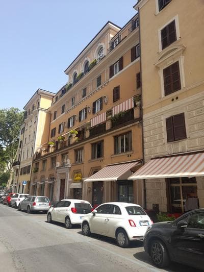 Vatican Gold Loft