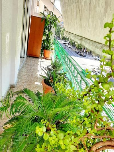 Large terrace apartment near city centre