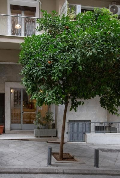 Syntagma Apartments with Acropolis view
