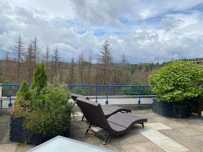 Ferienwohnung Harz #3, Pool, Sauna, WLAN