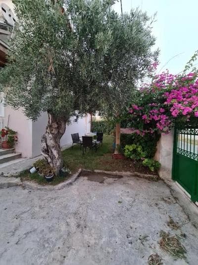 Semelia & Maria's Guest House - Spacious Stay for 3