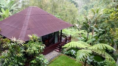 BINTANG MUNDUK