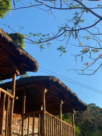 RUSTIQUE RUE Mabini - Hostel