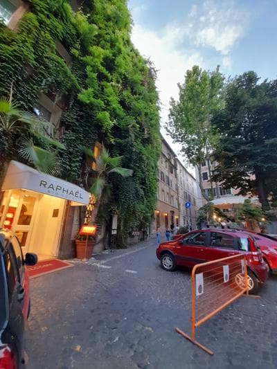 Navona Artist 7 APT