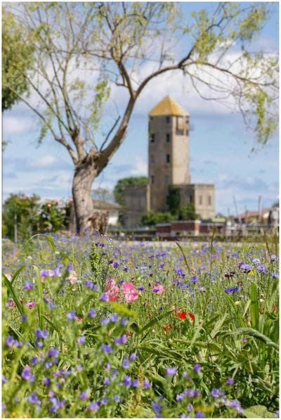 Appartamento Alla Torre 162