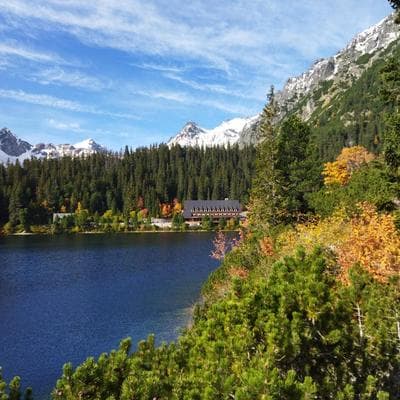 Lucky Kitten , High Tatras