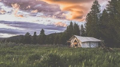 Tammah - Yellowstone