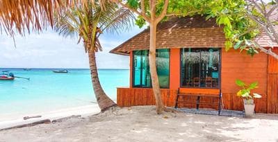 Sea To Moon Lipe