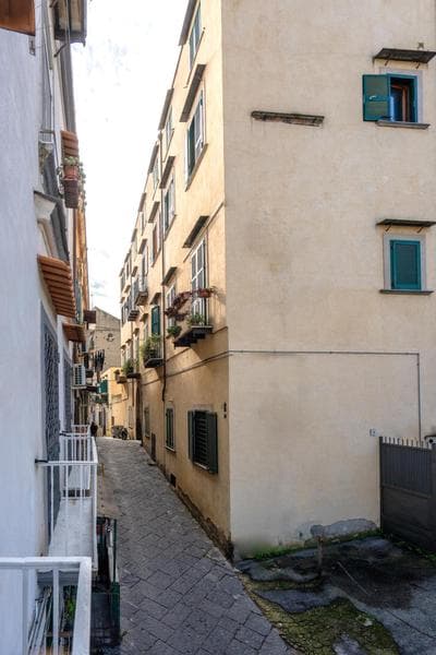 Into Vico
