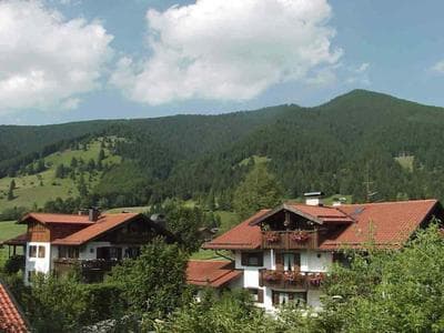 Bergnest