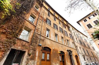Navona Artist 8 APT