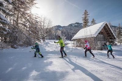 Nature Fun Apartments - Nahe Pressegger See - Skibus zum Nassfeld - Familien & Hunde willkommen