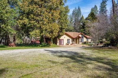Forest Cabin by China Creek