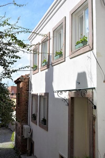 Gaja Ayvalık