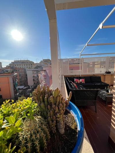 BUBUS Terrace