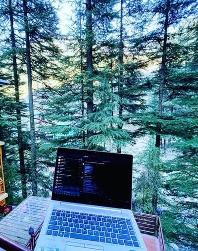 WildWoodHome Jibhi