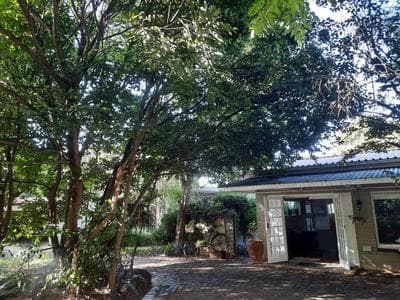 Nel's Cottage, a private and peaceful cottage