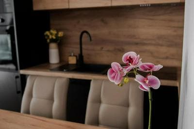 Apartament LUX