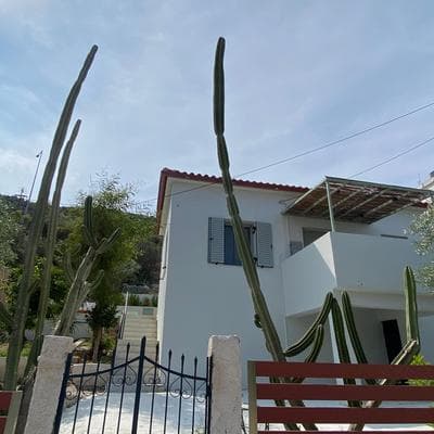 Casa olive