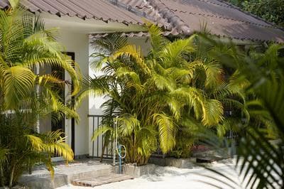 WHITE SAND ARK RESORT
