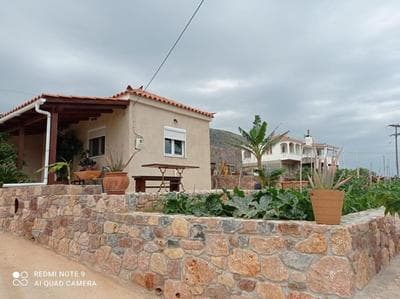 zikos house