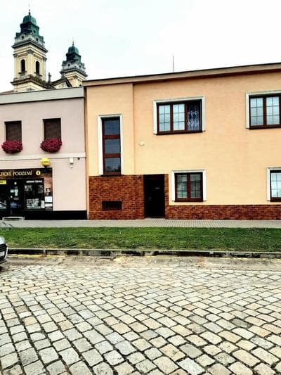 U paní malířky
