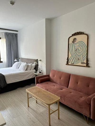 Luxury Studio Retiro Park & Prado Museum