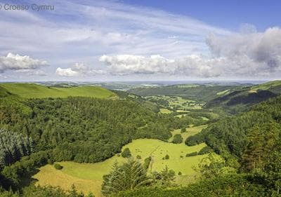 Blaenilar