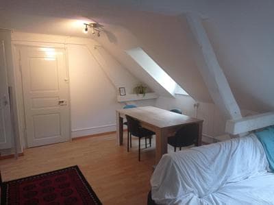 Gemütliche Dachwohnung