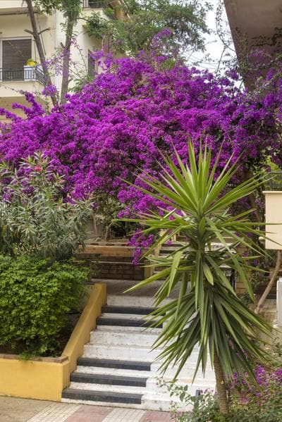 Versi2- Stylish 1BR pays homage to timeless charm