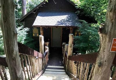 Chateau Treehouse #11 @ Oak Crest Cottages and Treehouses