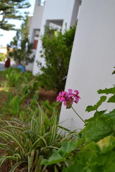Hotel Palladion by Anayia All Inclusive Resorts