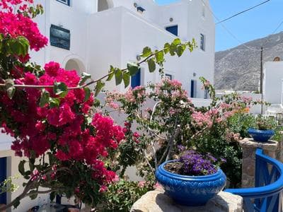 Leonidas Apartments