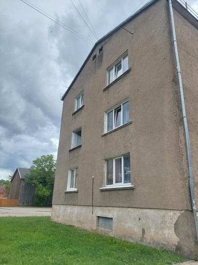 Pigeon apartment