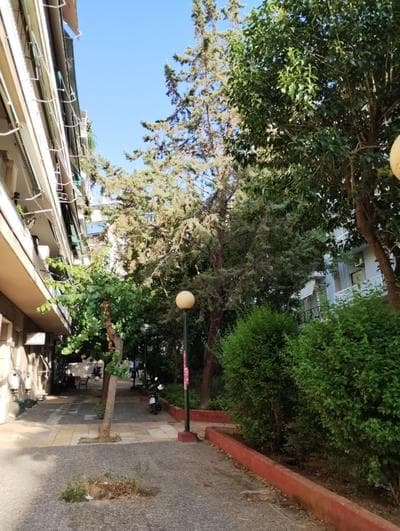 Vasia's cosy apartment in Athens, "Pedion tou Areos", close to center